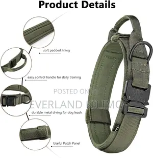 Durable Nylon Tactical Dog Collar for Dogs