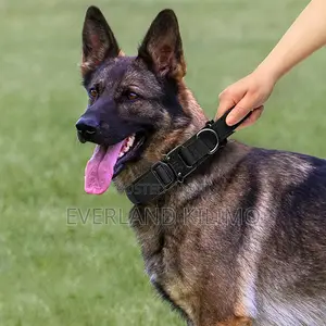 Military-Style Tactical Dog Collar
