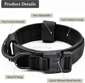 All-Purpose Dog Collar for Walking and Training