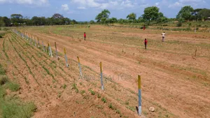 Plots for Sale in Matuu