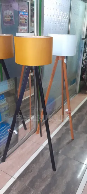 Elegant Floor Lamp
