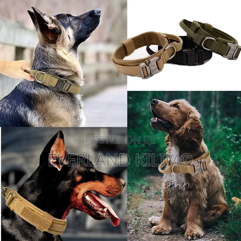 Professional Dog Collar – Heavy Duty Secure