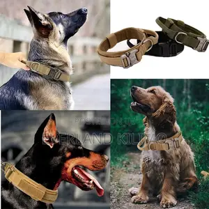 Professional Dog Collar – Heavy Duty Secure