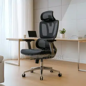 Office Chairs; Executive Office Orthopedic Chair