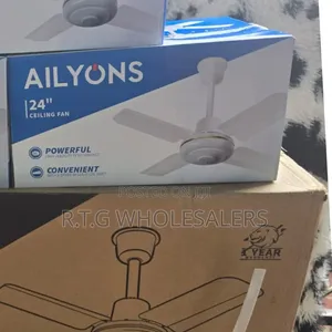 24 Inch Ailyons Ceiling Fan – Quiet Durable