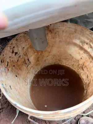 Rabbit Urine