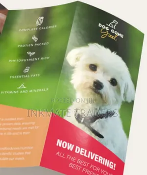 Business Brochures Deal
