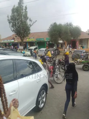 0.36 Hectare Naivasha CBD