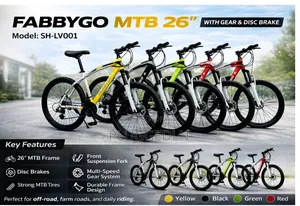 Fabbygo Sh-Lv001 Mountain Bike- Size 26