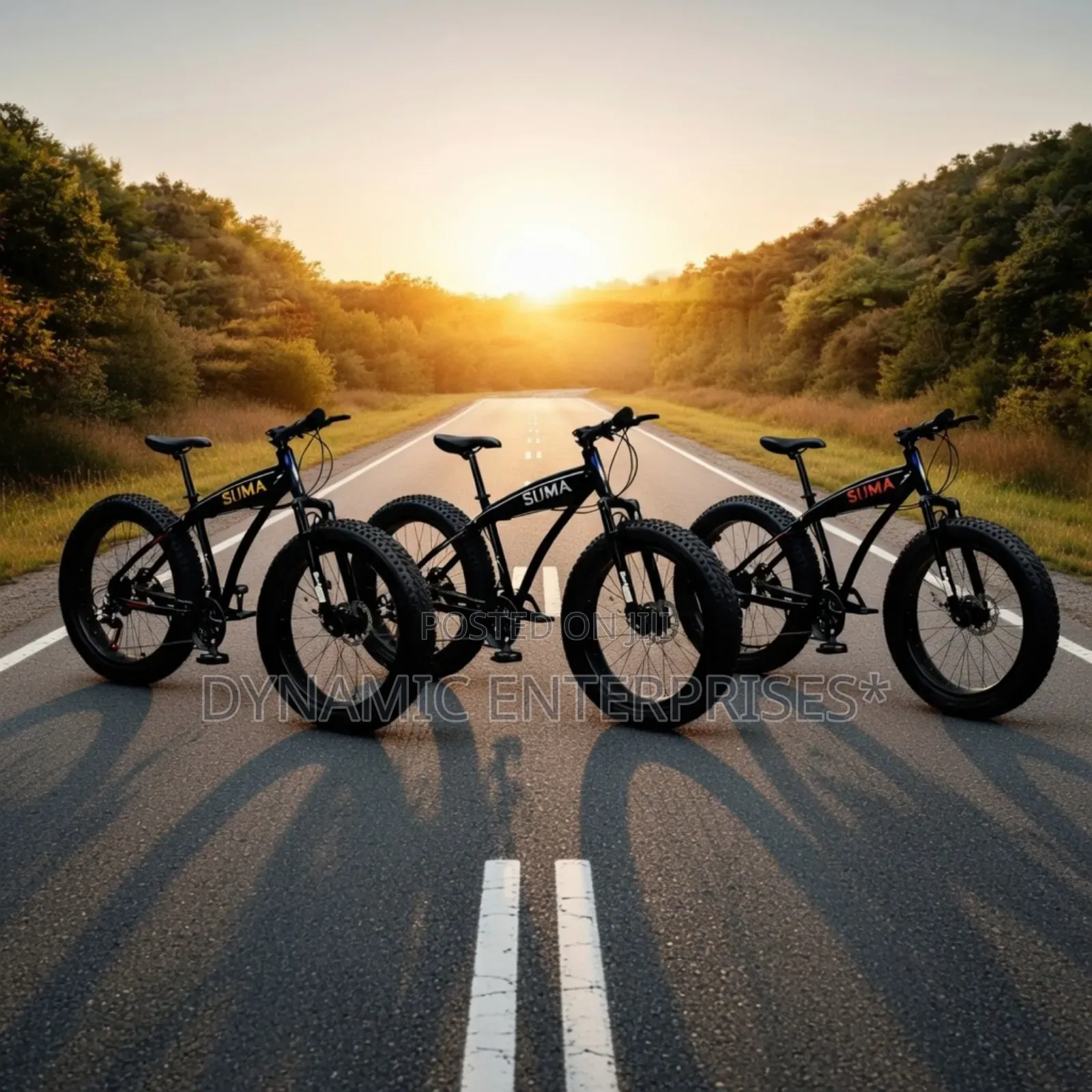 Suma Fat Tyre Mountain Bike.