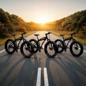 Suma Fat Tyre Mountain Bike.