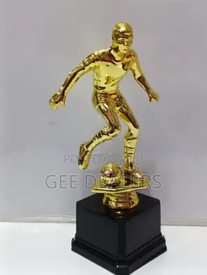 Football Trophy, Award /Trophies