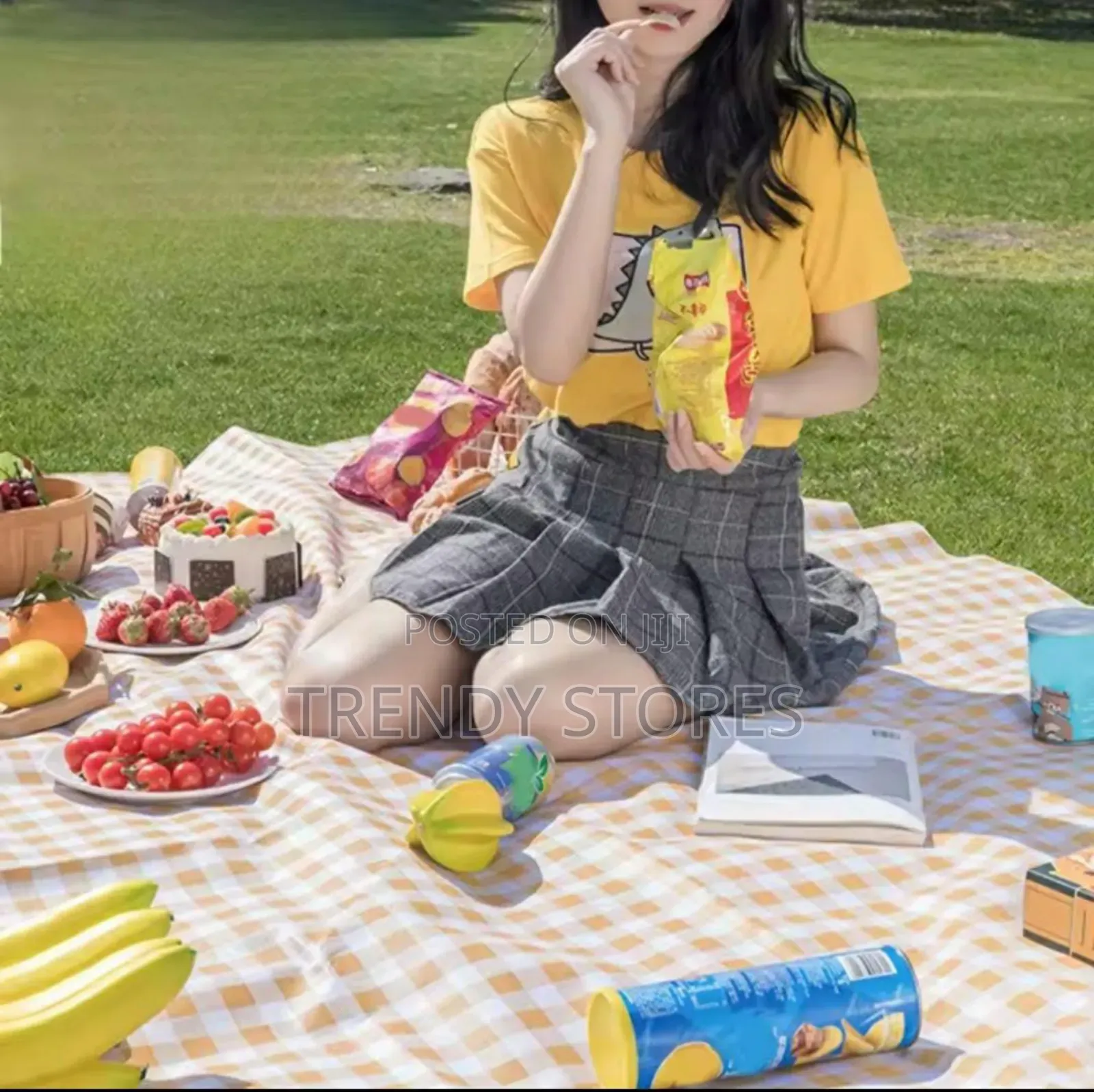 Picnic Mat