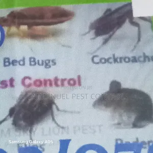 Pest Control Fumigation Mombasa