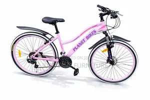Planet Bikes Daisy Size 26 Ladies Mountain Bicycle – Pink