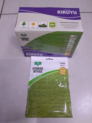 Kikuyu Lawn Grass Seeds 50g, 500g