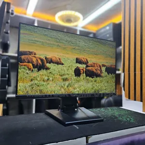 Dell Monitor P2219 22inch Frameless