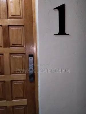 Face and Palm Id Smart Biometric Locks