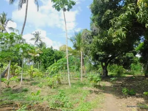 2 Acres Prime Land on Sale Kikambala Kwa Kazengo