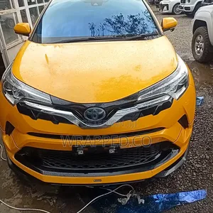 Full Ceramic Tint + Blue Chameleon Windshield Installation