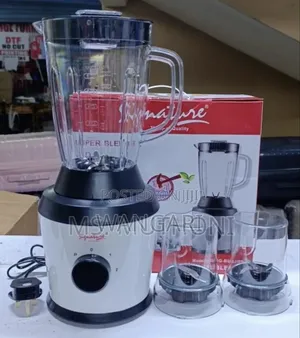 Signature Blender 3 in 1