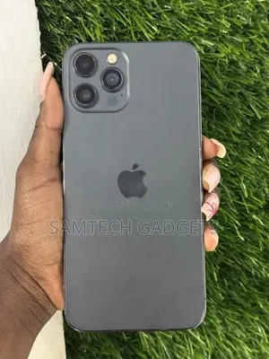 Apple iPhone 12 Pro Max 256 GB Gray
