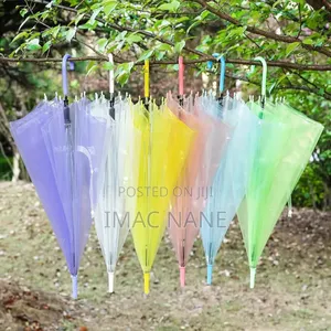 Transparent Umbrella