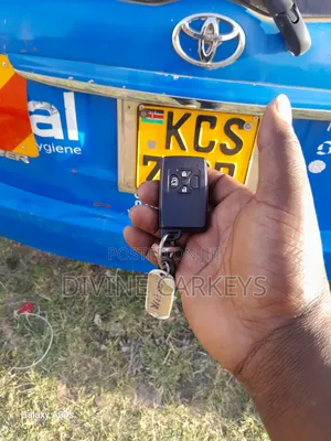 Key Programming, All Key Lost, Duplication