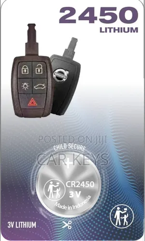 2450 Remote Key Battery