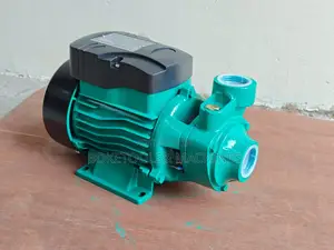 Pulsar 0.5 Hp Booster Pump