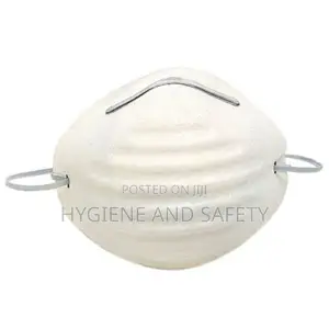 Disposable Dust Mask