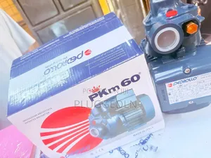 Pedrollo PKM 60 Peripheral 0.5hp Water Pump