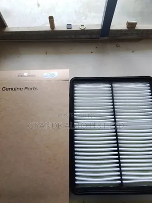 Air Filter Hyundai Santa Fe 2010 (Genuine)