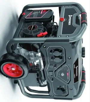 Premier Ls13500eb 13.5kva Gasoline Generator – Electric Start