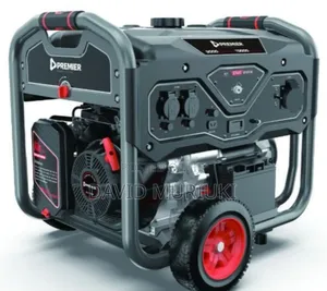 Premier Ls13500eb 13.5kva Gasoline Generator