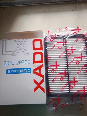 Air Filter Hyundai Santa Fe/Sorento 2010 Diesel (Xado Brand)