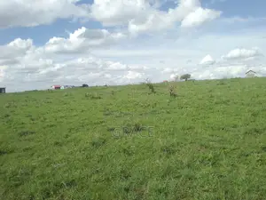 Prime 1/8 Acre Plots for Sale in Joska – Ready Title Deeds