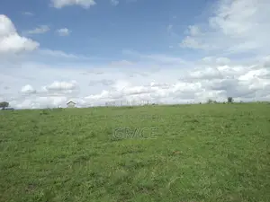 Prime 1/8 Acre Residential Plots in Joska – Ready Title Deeds