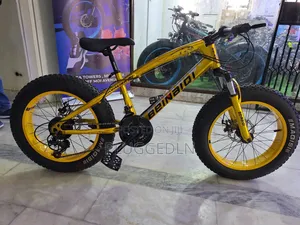 Beinaidi Fat Tire Mountain Bike- Size 20*