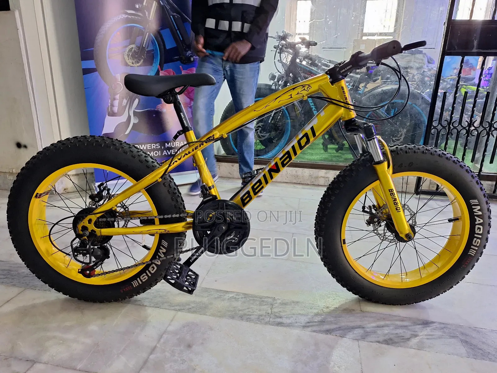 Beinaidi Fat Tire Mountain Bike- Size 20*