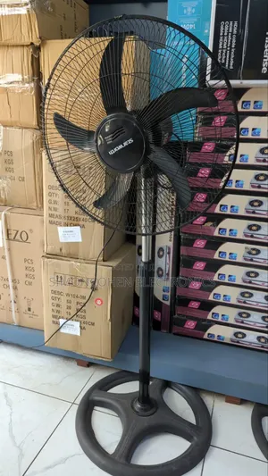 Starworth Standing Fan 18"