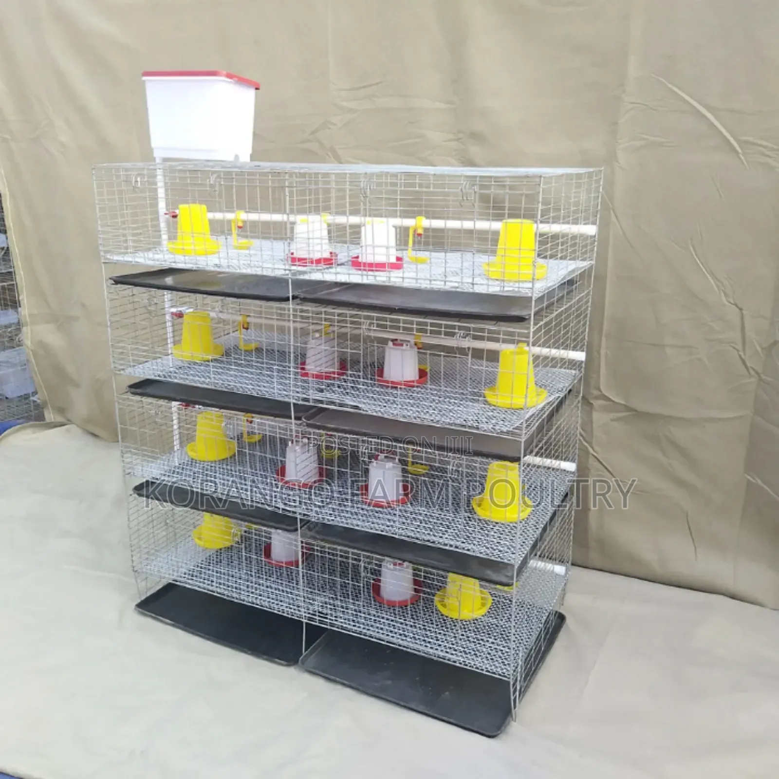 Chicks Brooding Cage