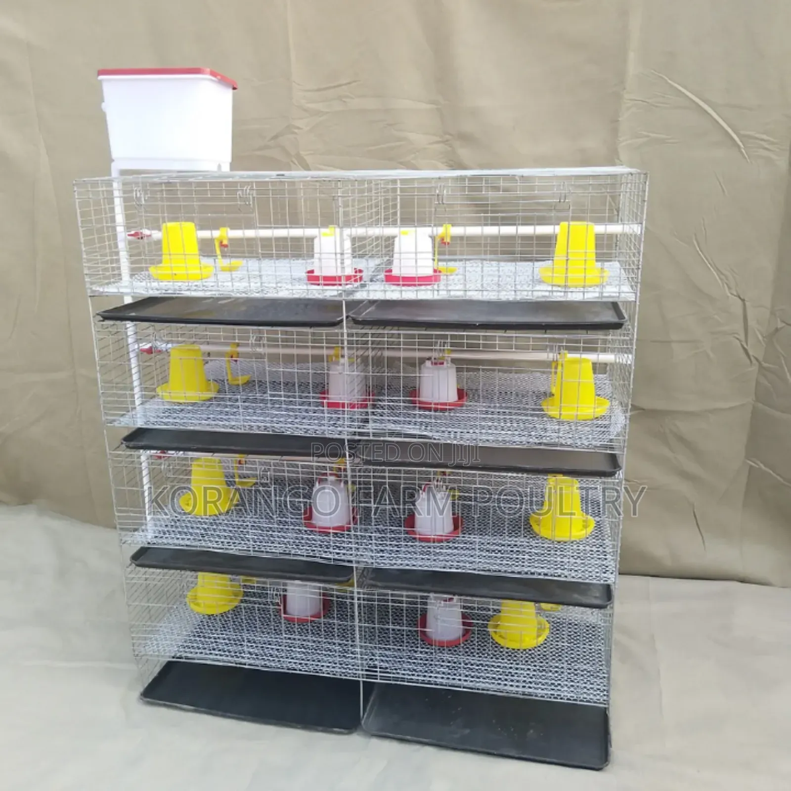 Chicks Brooding Cage