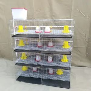 Chicks Brooding Cage