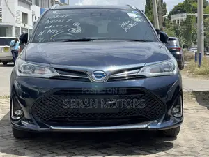 Toyota Corolla Fielder 2019 Black