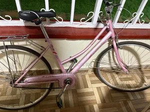 Pink Bicycle