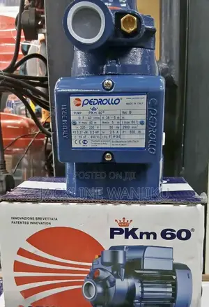 Pedrollo Water Pump/0.5 Hp Water Pump