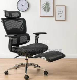 Orthopedic Office Chairs Robinson