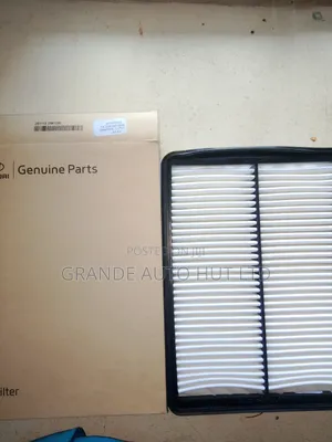 Air Filter Hyundai Santa Fe 2012 Petrol (Genuine)