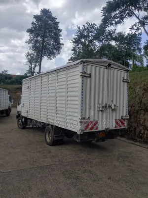 Transit Trucks Are Accessible for Professional Transport and Errands